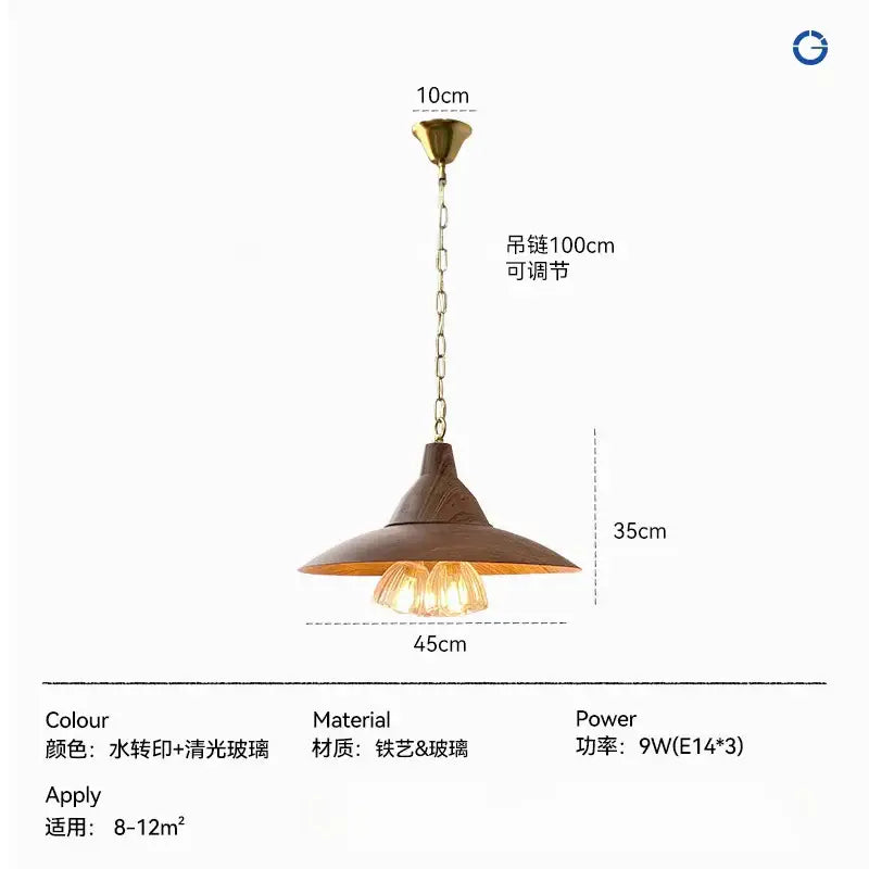 Modern dark wood iron art decor conical pendant light with a rustic brown metal shade and clear glass for dining rooms up to 12sqm