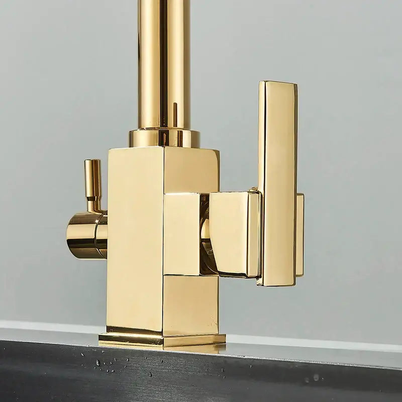 Modern dual outlet gold kitchen faucet with purified water outlet featuring sleek geometric decorbites dual outlet design