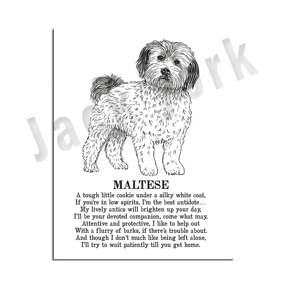Modern framed black and white maltese dog breed poster with poem for bedroom wall decor by decorbites dog breed