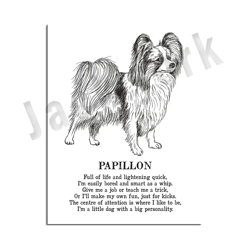 Modern framed black and white papillon dog breed poster from decorbites dog breed set for bedroom wall decor