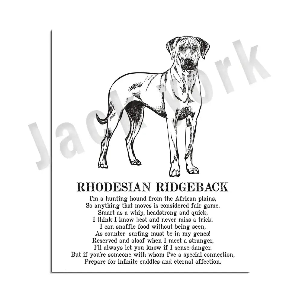 Modern framed black and white dog breed poster featuring a rhodesian ridgeback for decorbites dog bedroom wall decor