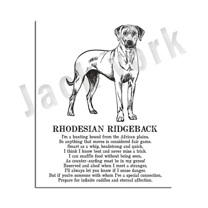 Modern framed black and white dog breed poster featuring a rhodesian ridgeback for decorbites dog bedroom wall decor