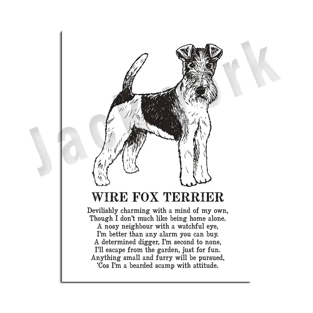 Modern framed black and white wire fox terrier dog breed poster with charming bearded scamp design for bedroom decorbites dog decor