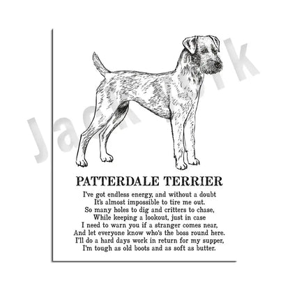 Modern framed black and white patterdale terrier dog breed poster with detailed line art for decorbites dog bedroom wall decor