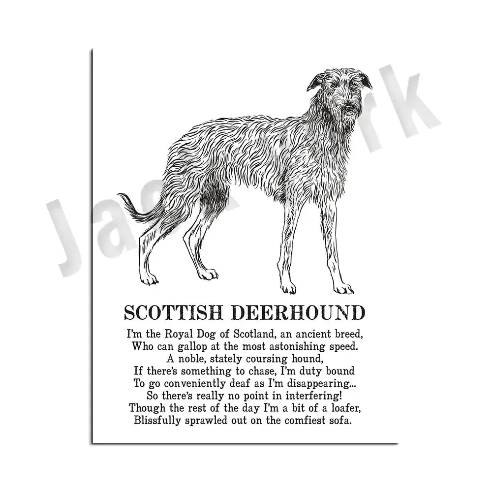 Modern framed black and white dog breed poster featuring intricate line art of a scottish deerhound from decorbites dog breed set