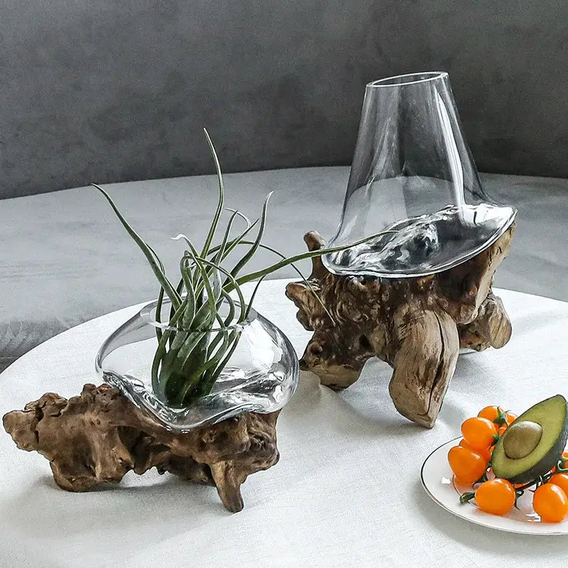 Clear glass decorbites glass bonsai vase with organic sculpted bases for modern hydroponic living room decor