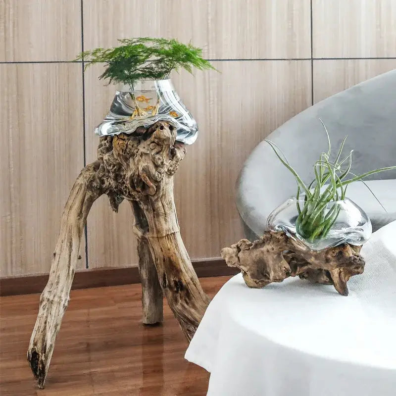 A silver reflective decorbites glass bonsai vase fishbowl with a goldfish on a carved driftwood stand for living room decor
