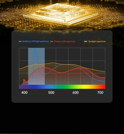 Modern Glass Dining Table Pendant Light