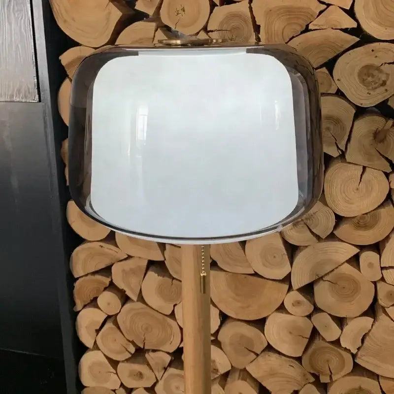 Modern glass floor lamp with a sleek white glass shade and polished chrome frame on a slender wooden pole for living room
