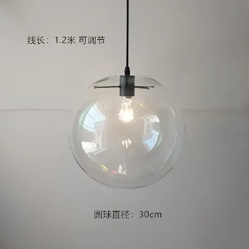 Modern pendant light with clear glass globe chrome design, black metal fixture, and adjustable 1.2-meter cord for dining room
