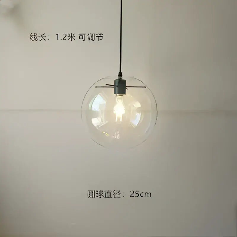 Modern glass globe chrome pendant light with clear glass globe and black adjustable cord 25cm diameter for dining room