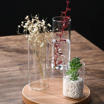 Modern Glass Hydroponic Vase for Wedding Decor - Vase