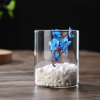 Modern Glass Hydroponic Vase for Wedding Decor - Vase
