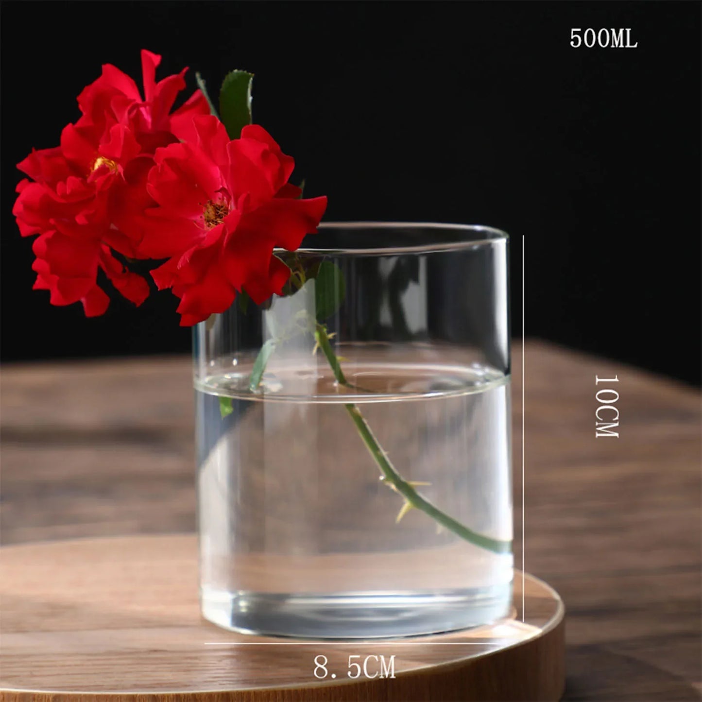 Modern Glass Hydroponic Vase for Wedding Decor - 8.5x10cm - Vase