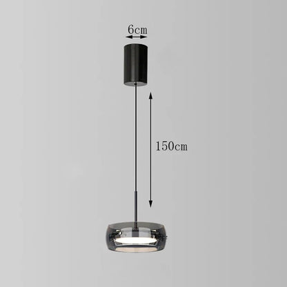 Modern Glass Ring Pendant Light in Iron - Decorbites