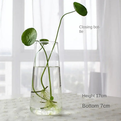 Modern Glass Vase Terrarium Aquarium Decoration - Vase