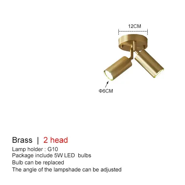 Brass ceiling lamp with two adjustable heads featured in modern gold 3-light decorbites adjustable led chandelier