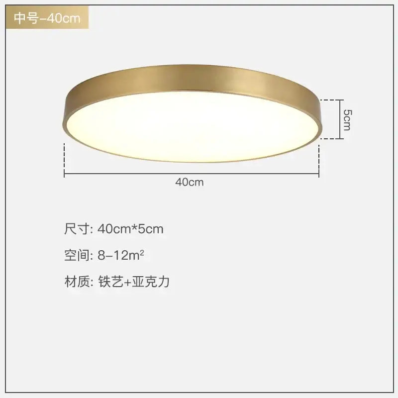 A modern gold acrylic led ceiling light with a brushed gold frame and frosted acrylic diffuser for living rooms