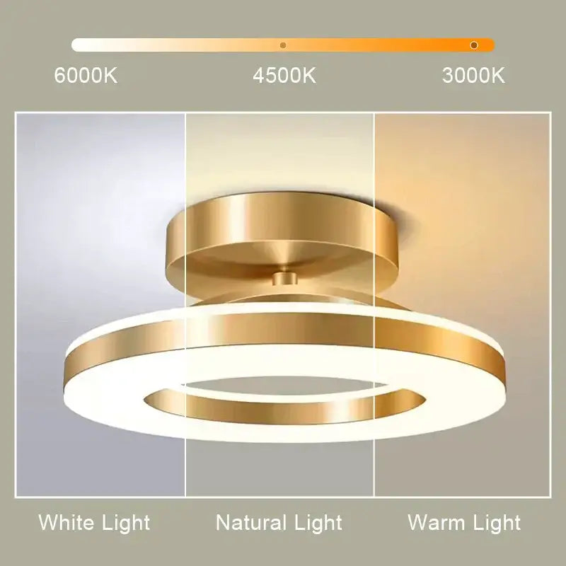 Modern gold circular led ceiling lamp with sleek double-ring design emitting warm white light for living room decorbites led ceiling
