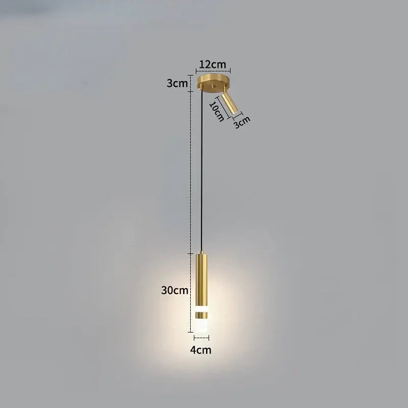 Modern gold double head led pendant lights featuring gold finish cylindrical bodies with frosted diffuser for bedroom use