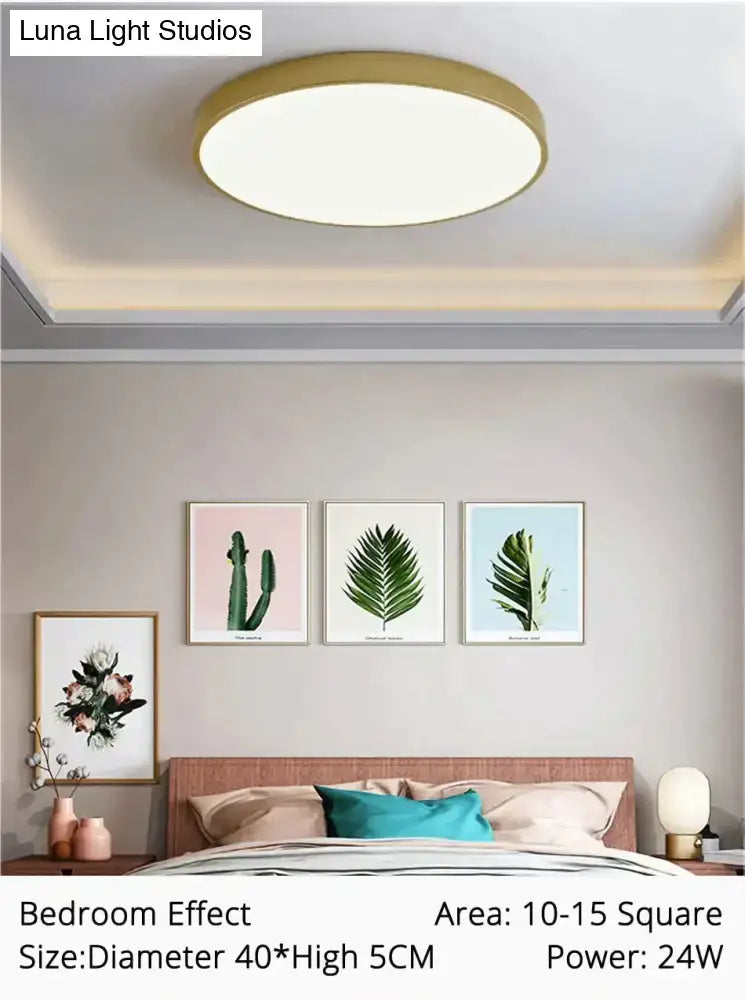 Decorbites modern circular gold-finished ceiling light with sleek design for indoor living room and bedroom lighting