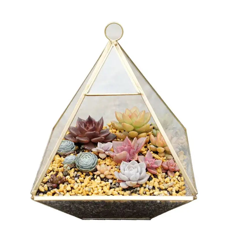 Modern gold geometric glass vase with brass frame and colorful succulents in yellow gravel by decorbites geometric glass