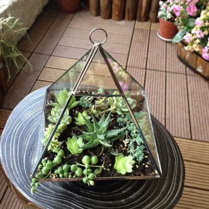 A modern gold geometric glass vase terrarium by decorbites featuring clear glass and green succulents for living room decor