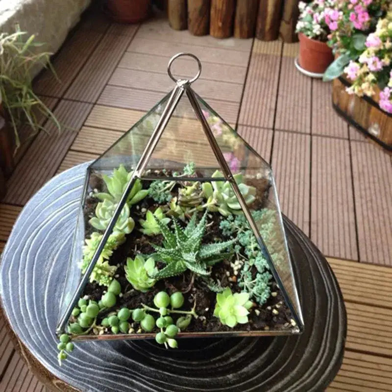 A modern gold geometric glass vase terrarium by decorbites featuring clear glass and green succulents for living room decor