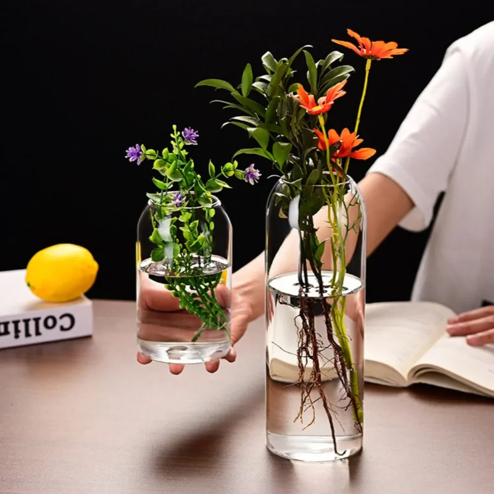 Modern Hydroponic Glass Flower Vase for Home & Wedding - Vase