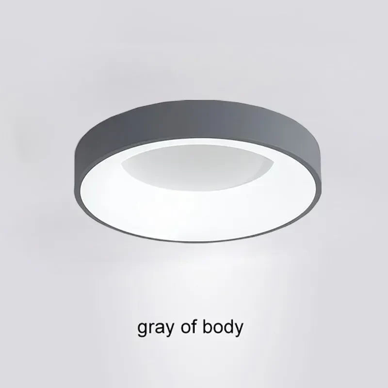 Modern LED Ceiling Light for Home - Indoor Lighting - Gray / 30CM / Warm white-No RC