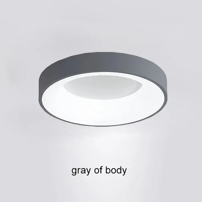 Modern LED Ceiling Light for Home - Indoor Lighting - Gray / 30CM / Warm white-No RC