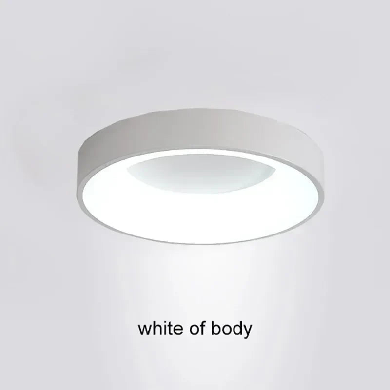 Modern LED Ceiling Light for Home - Indoor Lighting - White / 30CM / Warm white-No RC