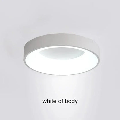 Modern LED Ceiling Light for Home - Indoor Lighting - White / 30CM / Warm white-No RC
