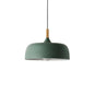 Modern LED Ceiling Pendant Light with Wood Lamp Socket - Macaron Color Option