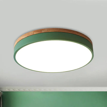 DecorBites™ DecorBites™ Modern LED Green Flush Mount Ceiling Light with Acrylic Diffuser - Available in 12"/16"/19.5" Widths