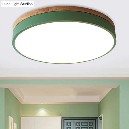 DecorBites™ DecorBites™ Modern LED Green Flush Mount Ceiling Light with Acrylic Diffuser - Available in 12"/16"/19.5" Widths