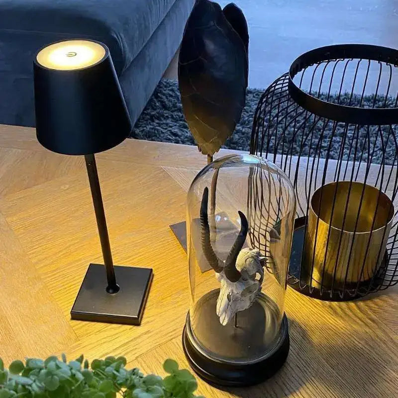 Modern led mosaic table lamp with wireless charger featuring a white animal skull with dark curved horns under glass dome