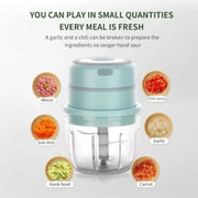 Modern light blue electric food chopper with clear plastic body and sleek design for garlic mashing and food prep
