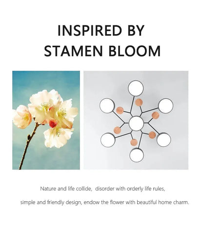 Modern Macaron Ceiling Chandelier with 3-Color Dimming - Chandelier