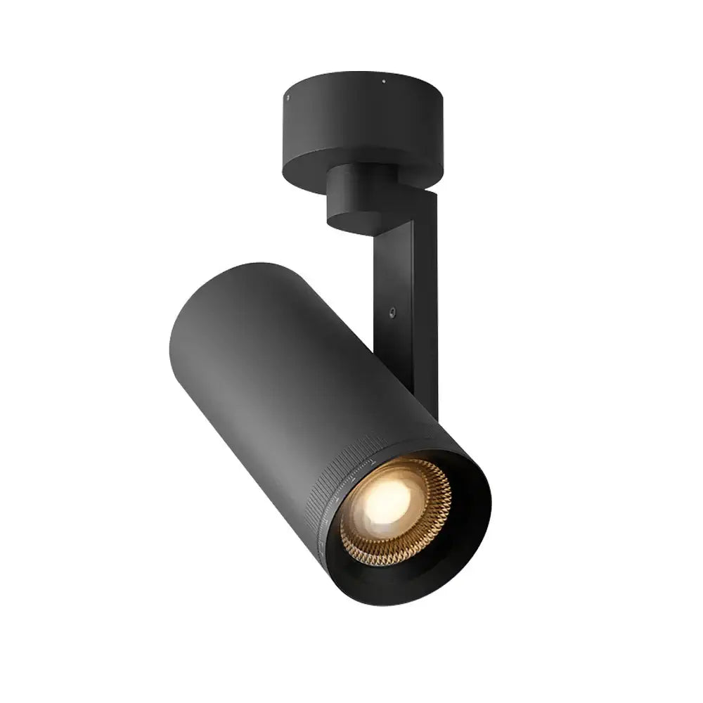 Modern matte black 12w dimmable led ceiling spotlight with cylindrical head and adjustable arm for living room decor