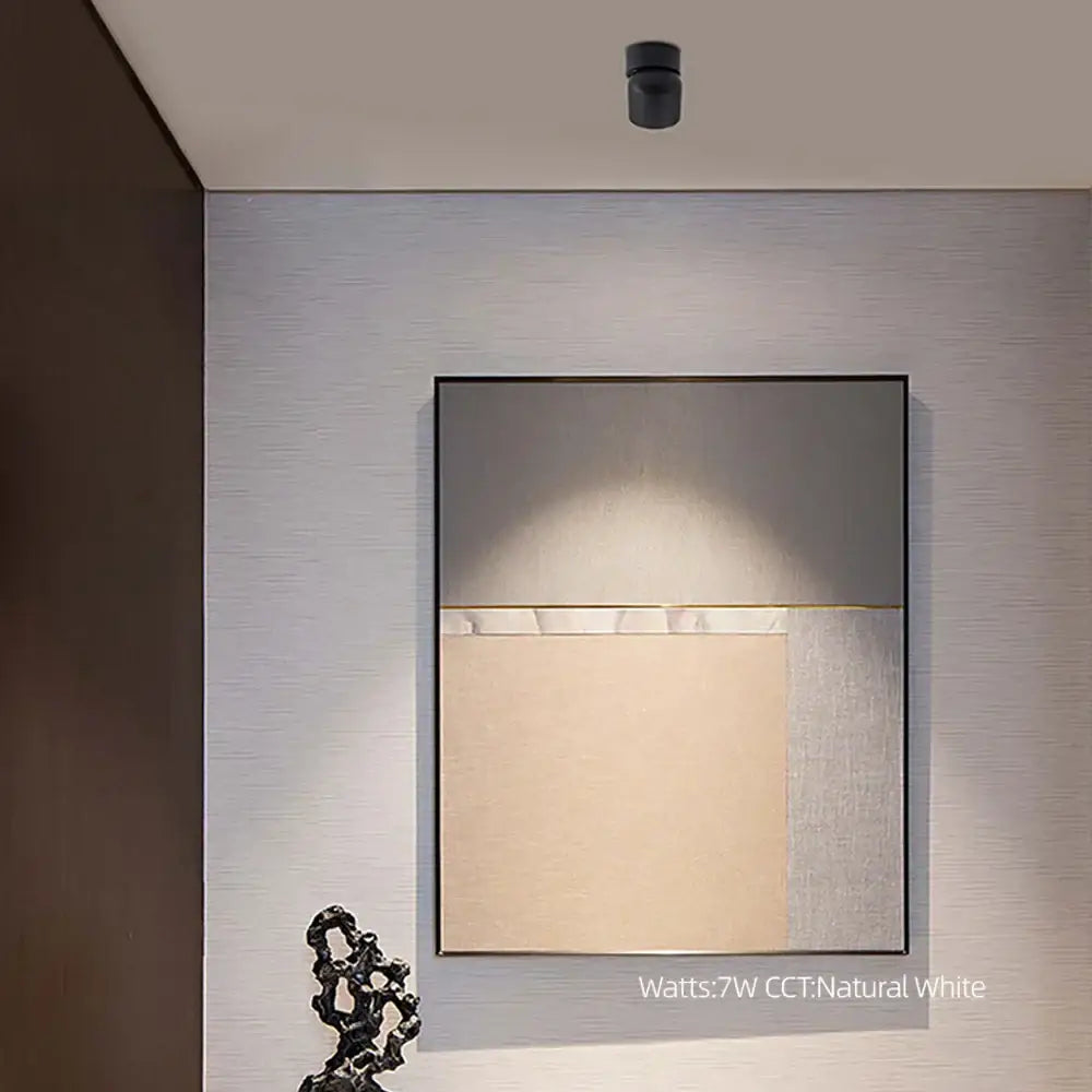 Modern matte black adjustable angle led downlight spotlight with sleek black frame and minimalist abstract decorbites adjustable angle design