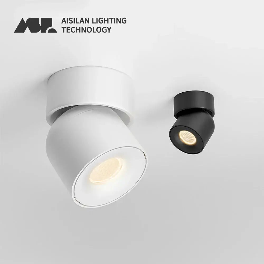 Modern matte black and white decorbites adjustable angle led downlight with sleek minimalist design for living room spotlight