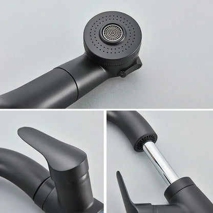Modern matte black basin faucet with chrome accents and detachable spray head for kitchen decorbites black basin use