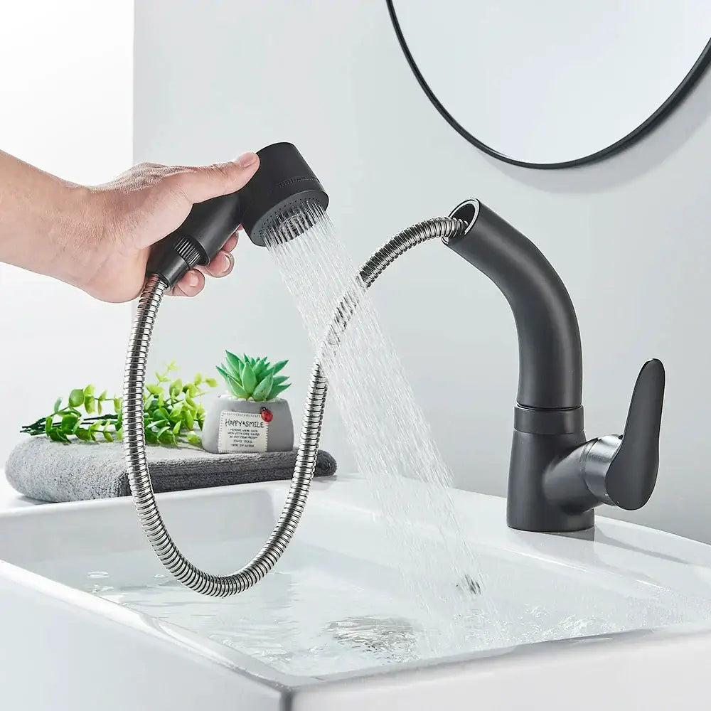 Modern matte black basin faucet with chrome accents featuring a flexible metal hose and detachable spray head for kitchen use