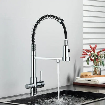 Modern matte black and brushed gold decorbites dual spout water filter kitchen faucet with chrome pull down flexible hose