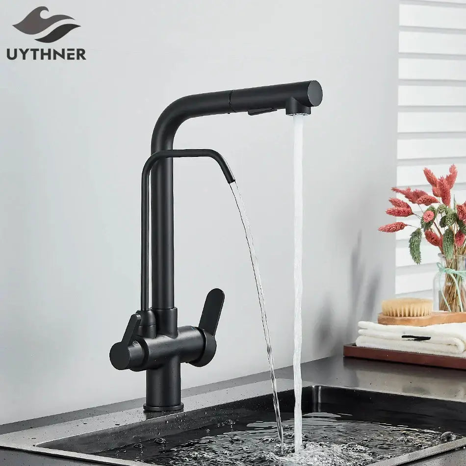 Modern matte black dual handle waterfilter kitchen faucet with sleek design and decorbites dual handle controls for hot and cold water