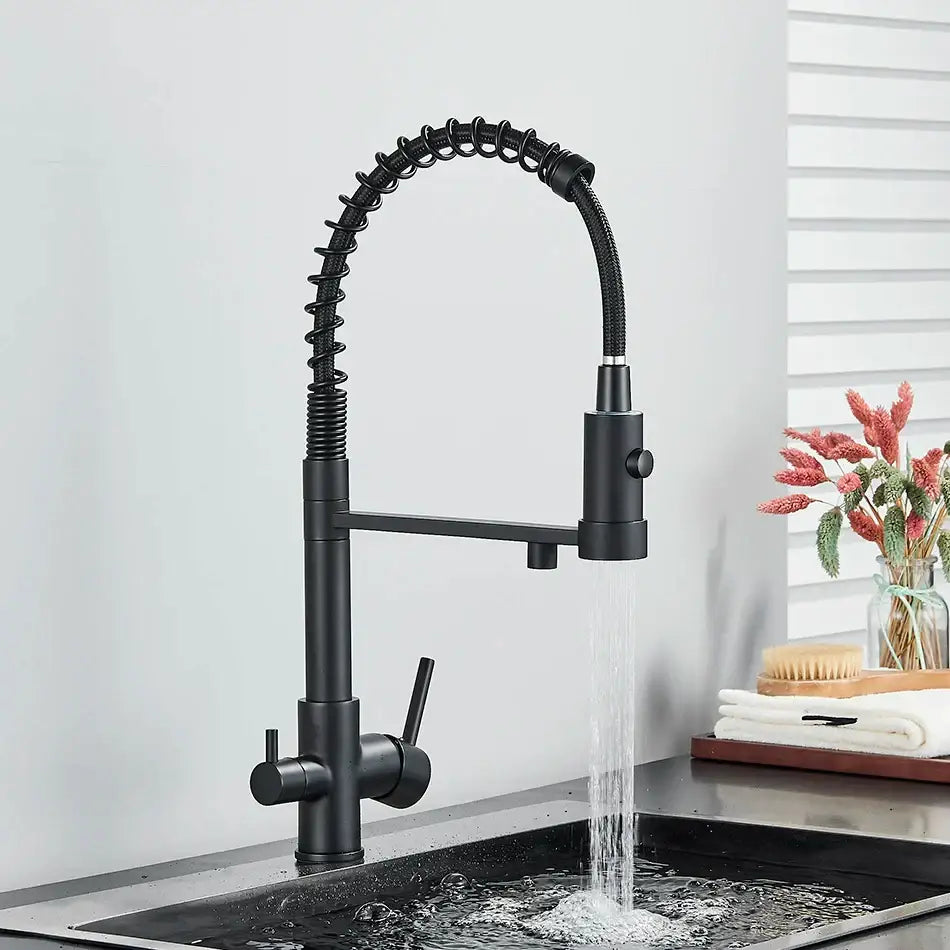 Black matte finish decorbites dual spout kitchen water filter faucet with coiled spring hose and dual handles