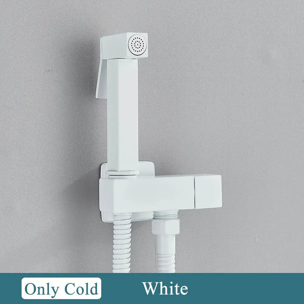 White modern-style wall-mounted brass bidet faucet with sleek rectangular design and flexible hose from decorbites bathroom set