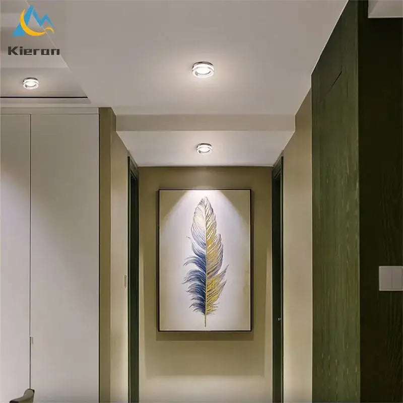 A framed artwork with blue and gold feather illustration complements decorbites crystal led ceiling spotlight