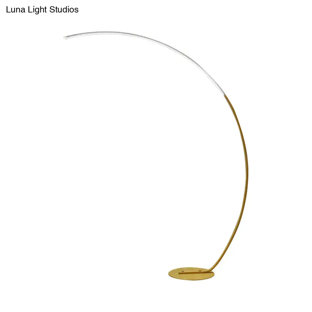 Decorbites™ modern metallic floor lamp with gold metal frame and led light strip for living room 110v-120v